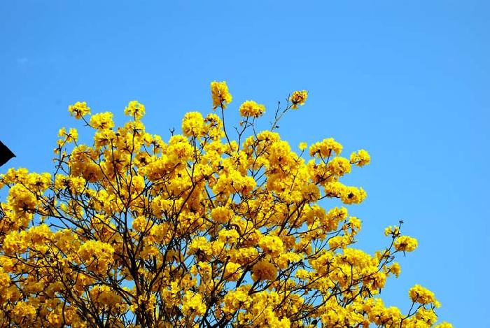 Photo by :: ����ǧ