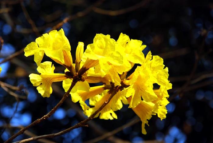 Photo by :: ����ǧ