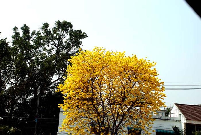 Photo by :: ����ǧ