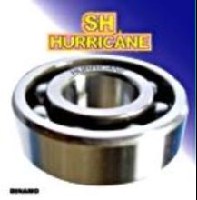 Photo by :: surasak_sri