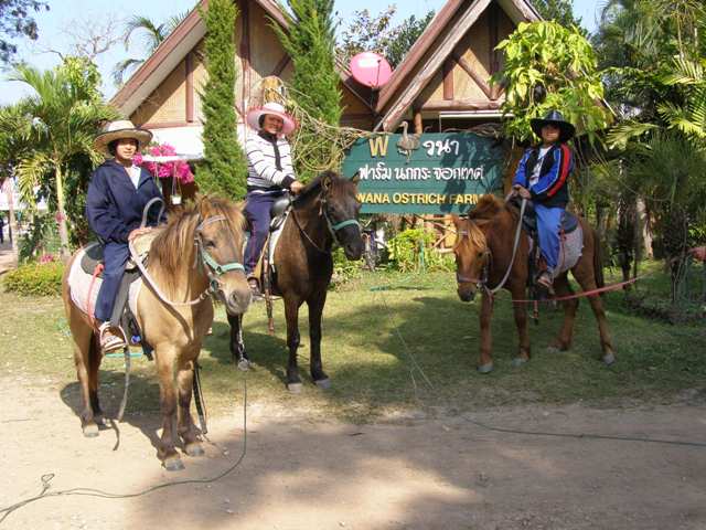 Photo by :: ���ԧ ��§���