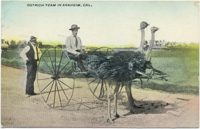 Photo by :: ��§���