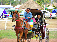 Photo by :: ������