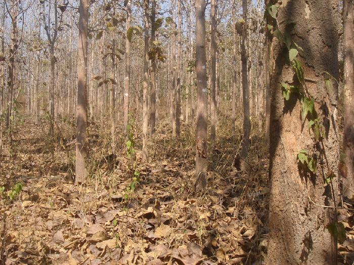 Photo by :: �Ե���