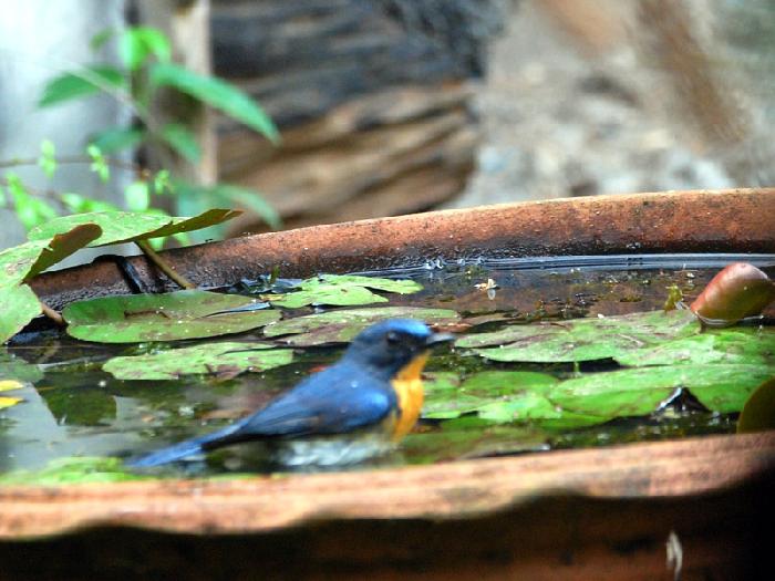 Photo by :: ����ǧ