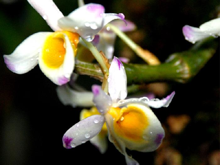 Photo by :: ����ǧ