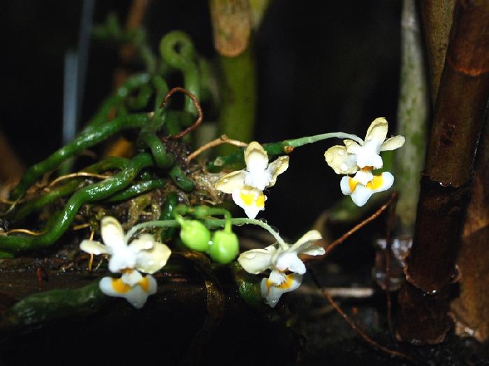 Photo by :: ����ǧ