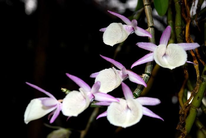 Photo by :: ����ǧ