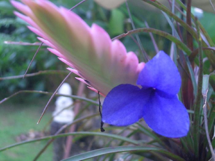 Photo by :: ����Ԩ��