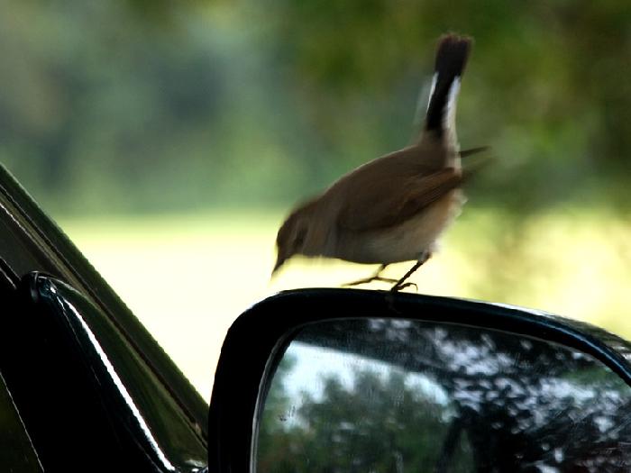 Photo by :: ����ǧ