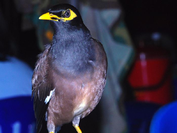 Photo by :: ����ǧ