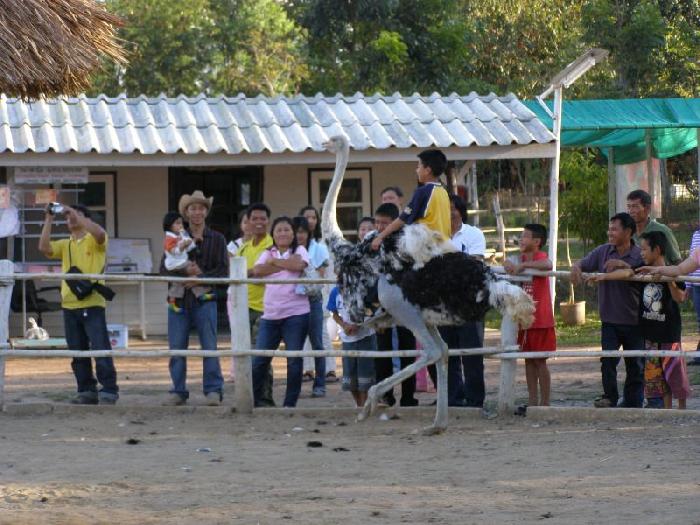 Photo by :: �Է��