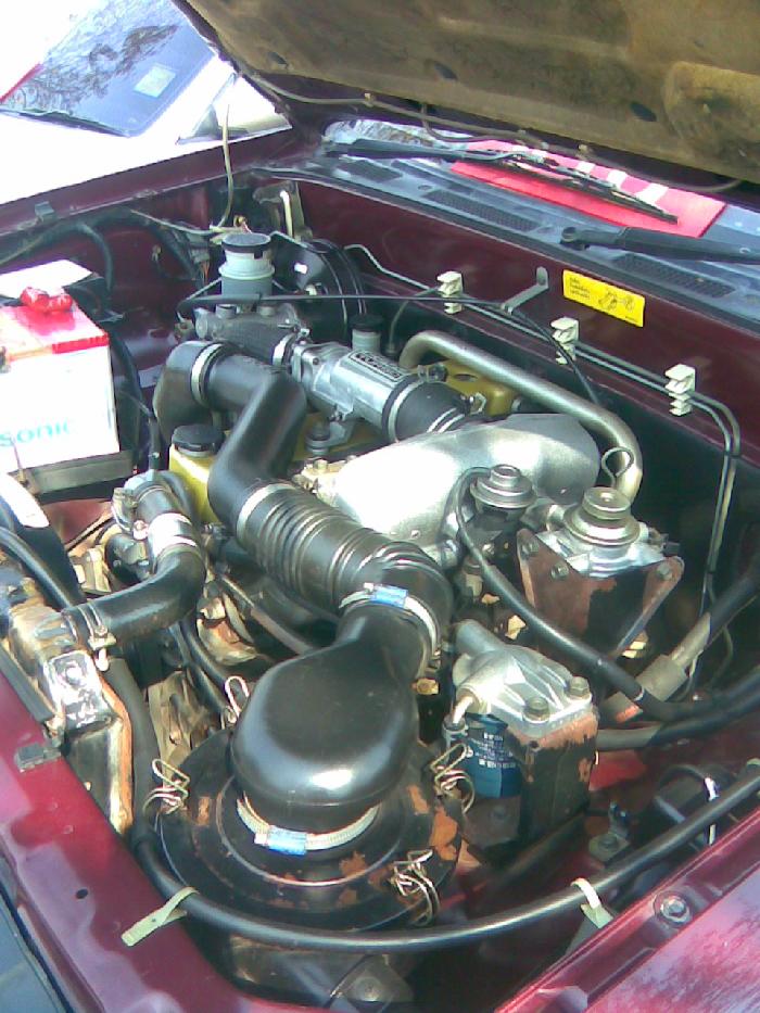 Photo by :: ���