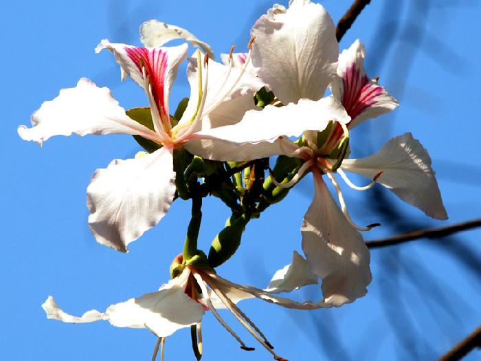 Photo by :: ����ǧ