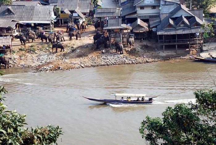 Photo by :: ����ǧ