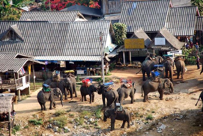 Photo by :: ����ǧ