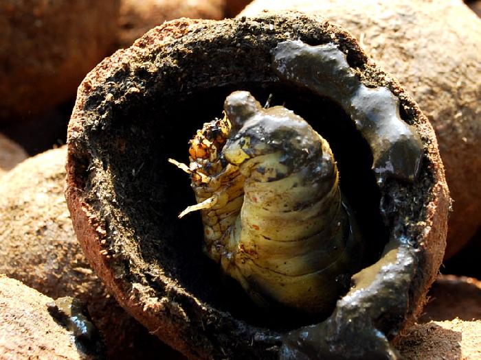 Photo by :: ����ǧ