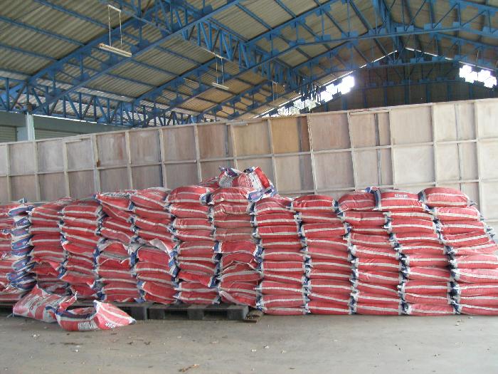 Photo by :: �ҵ��