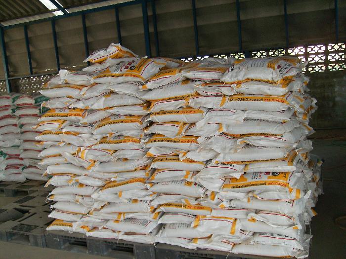 Photo by :: �ҵ��