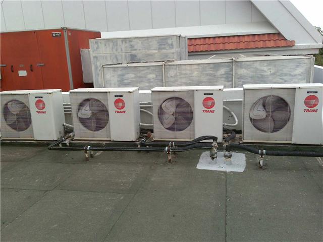 Photo by :: �ѧ��