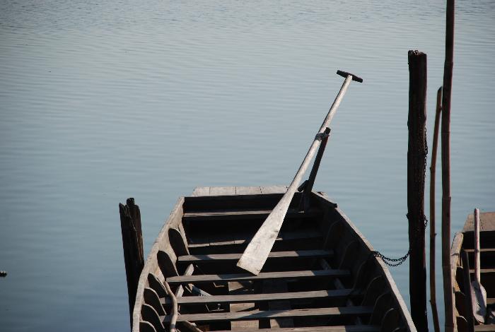 Photo by :: ภัทรพล