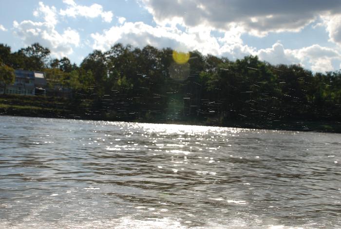 Photo by :: ภัทรพล