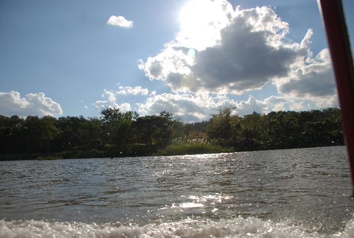 Photo by :: ภัทรพล