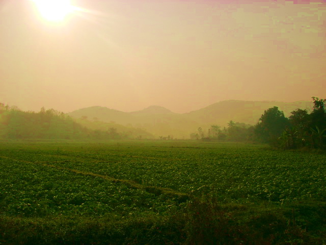 Photo by :: �ٹ�