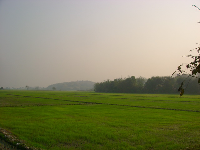 Photo by :: �ٹ�