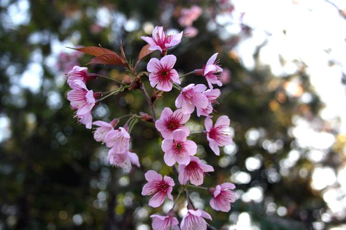 Photo by :: ����ǧ