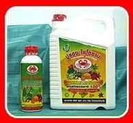 Photo by :: ป้อม