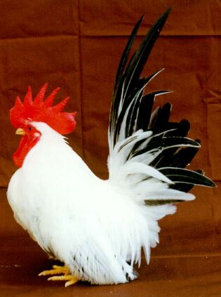 Photo by :: ����