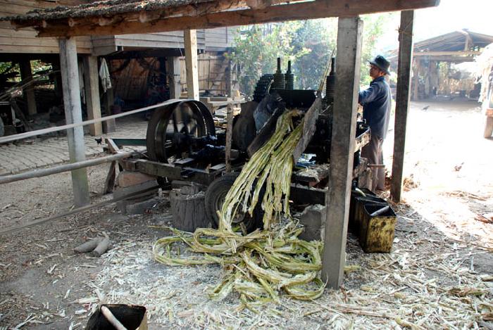 Photo by :: ����ǧ