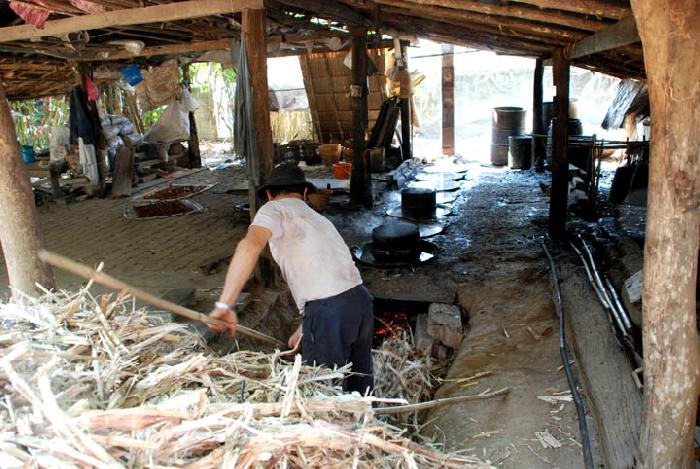 Photo by :: ����ǧ