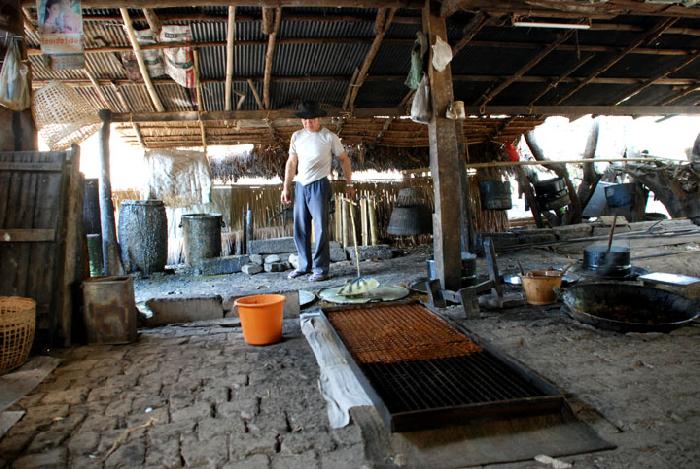 Photo by :: ����ǧ