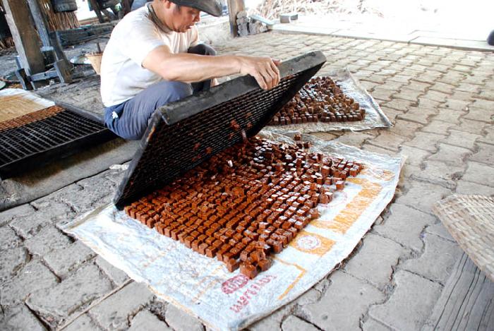 Photo by :: ����ǧ