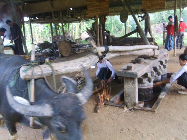 Photo by :: ����ǧ