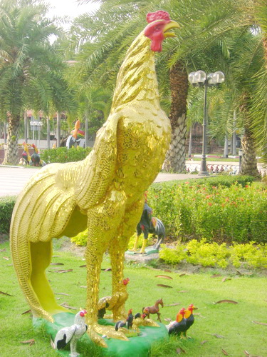 Photo by :: �ٹ�