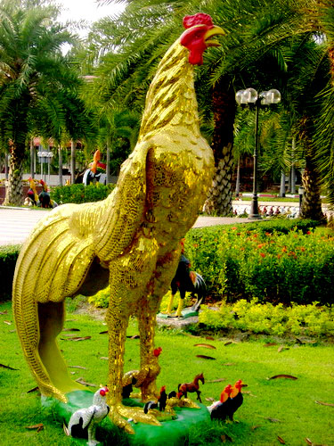 Photo by :: ���Ѻ