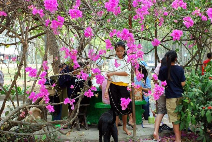 Photo by :: ����ǧ