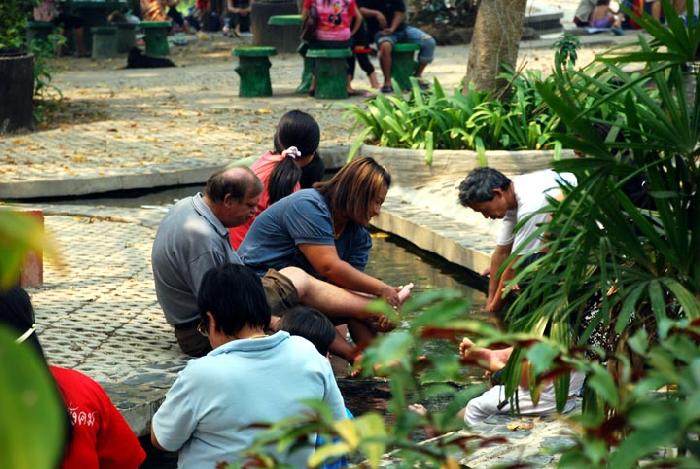 Photo by :: ����ǧ