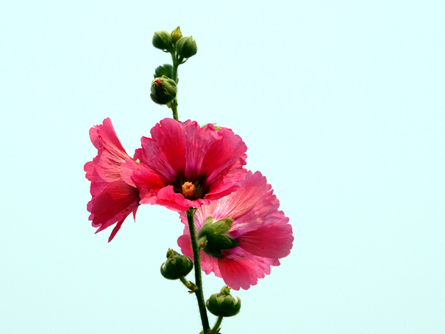 Photo by :: ����ǧ