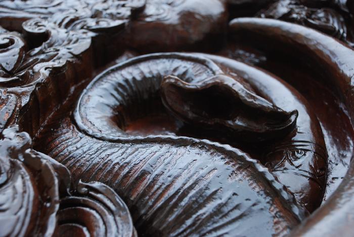 Photo by :: �ѷþ�