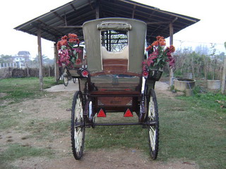 Photo by :: ����