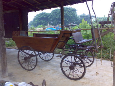 Photo by :: ����