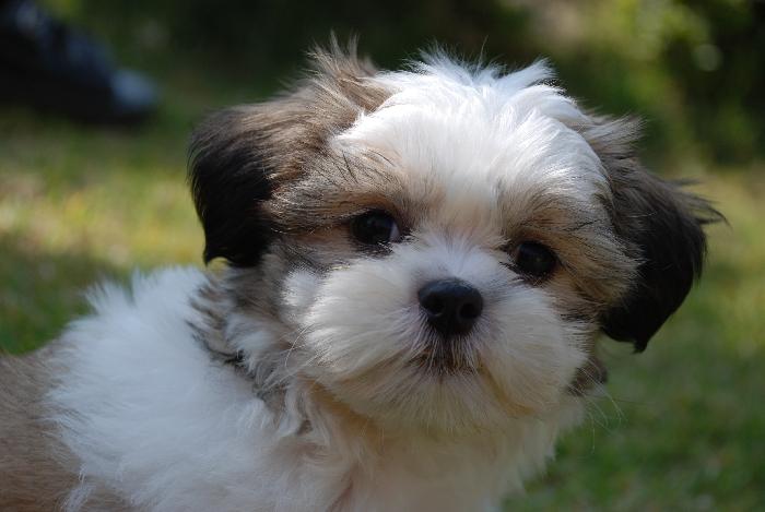 Photo by :: ภัทรพล