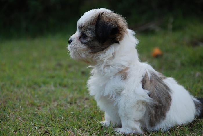 Photo by :: ภัทรพล