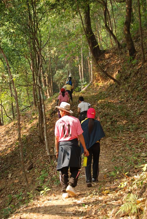 Photo by :: �ԧ���