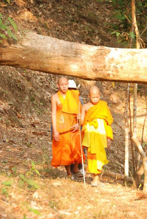 Photo by :: �ԧ���