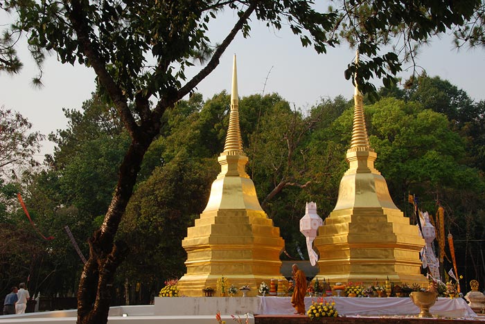 Photo by :: �ԧ���